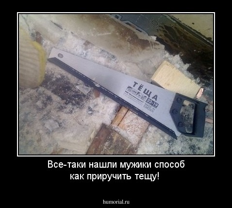 Все-таки нашли мужики способ как приручить тещу!