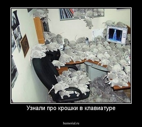 Узнали про крошки в клавиатуре