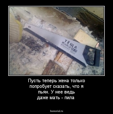 Пусть теперь жена только попробует сказать, что я пьян. У нее ведь даже мать - пила