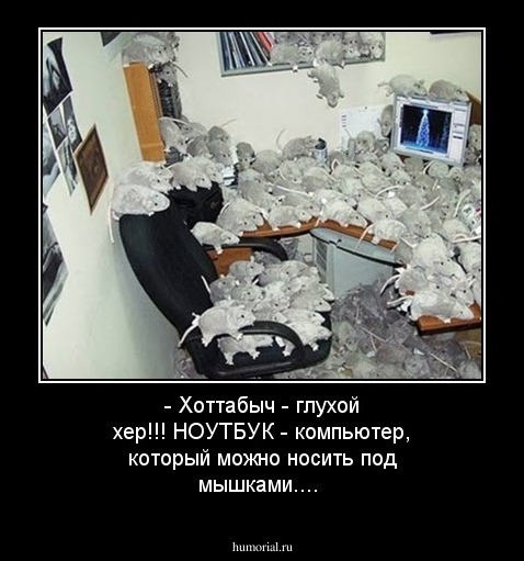 - Хоттабыч - глухой хер!!! НОУТБУК - компьютер, который можно носить под мышками....