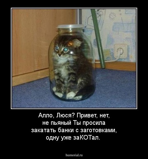 Алло, Люся? Привет, нет, не пьяный Ты просила закатать банки с заготовками, одну уже заКОТал.