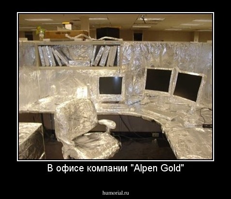 В офисе компании "Alpen Gold"