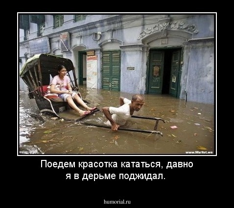 Поедем красотка кататься, давно я в дерьме поджидал.