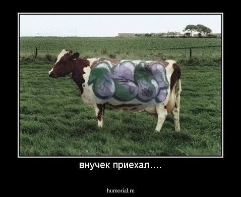 внучек приехал....