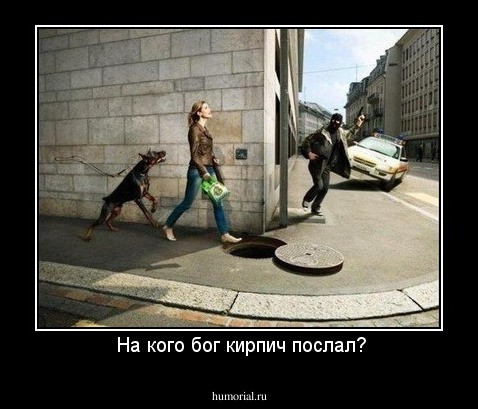 На кого бог кирпич послал?