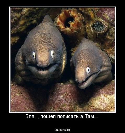 Бля  , пошел пописать а Там... 