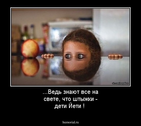  ...Ведь знают все на свете,
     что   штыжки - дети Йети !