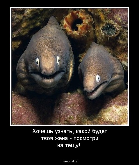 Хочешь узнать, какой будет твоя жена - посмотри на тещу!