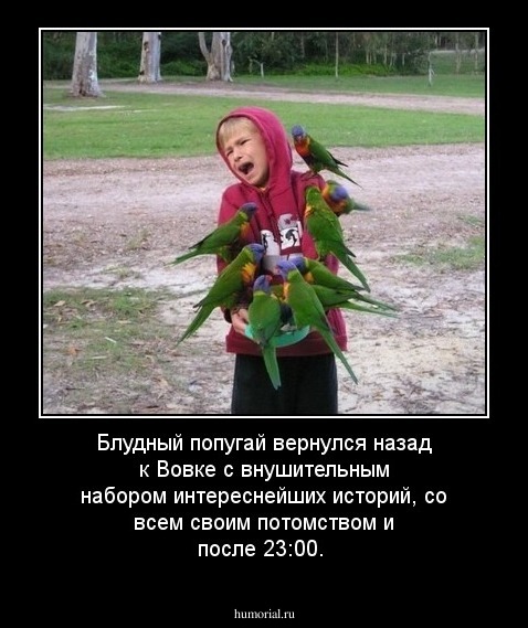 Блудный попугай вернулся назад к Вовке с внушительным набором интереснейших историй, со всем своим потомством и после 23:00.