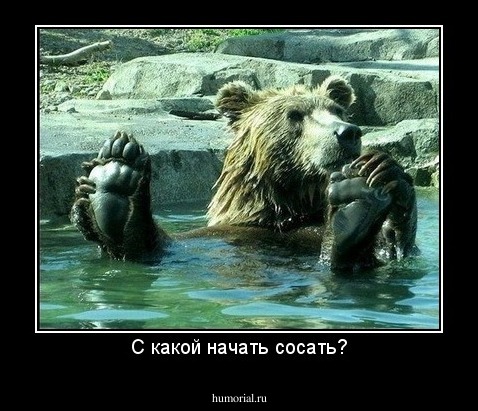 С какой начать сосать?