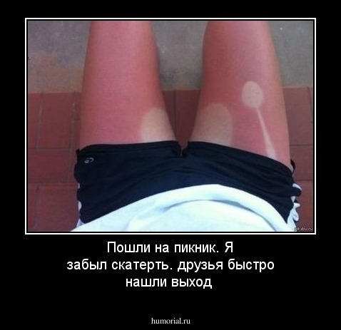 Пошли на пикник. Я забыл скатерть. друзья быстро нашли выход