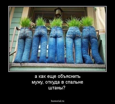 а как еще объяснить мужу, откуда в спальне штаны?