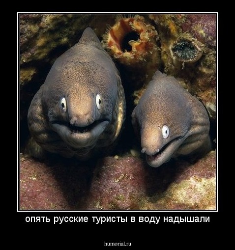 опять русские туристы в воду надышали