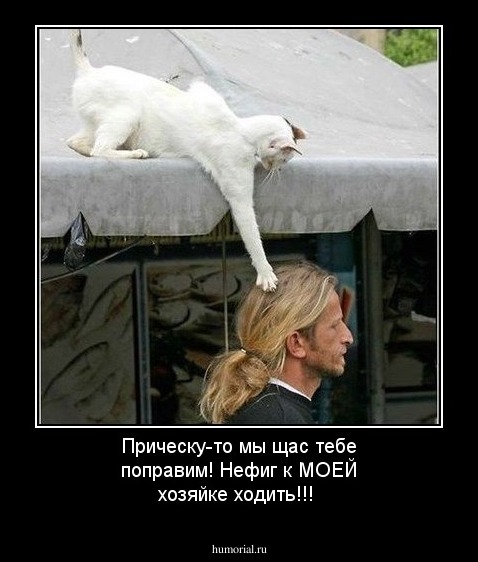 Прическу-то мы щас тебе поправим! Нефиг к МОЕЙ хозяйке ходить!!!