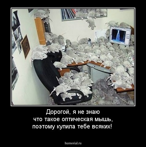 Дорогой, я не знаю что такое оптическая мышь, поэтому купила тебе всяких!