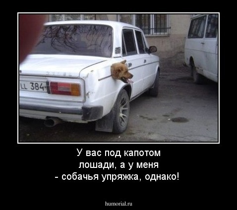 У вас под капотом лошади, а у меня - собачья упряжка, однако!