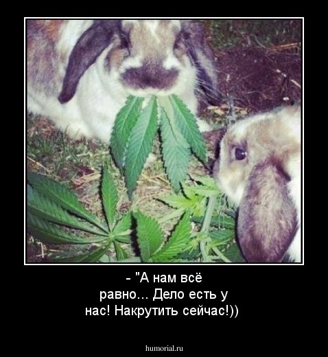 - "А нам всё равно... Дело есть у нас! Накрутить сейчас!))