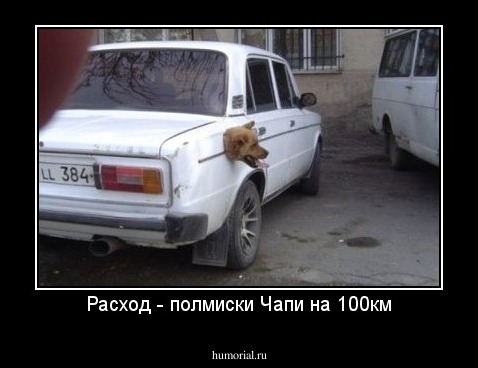 Расход - полмиски Чапи на 100км