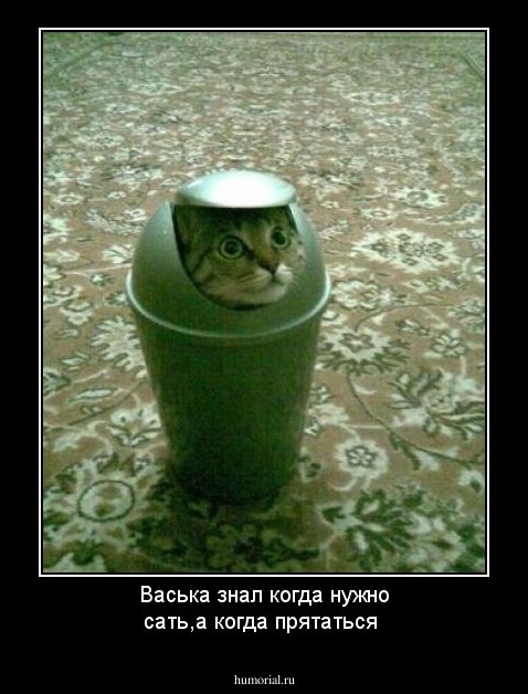 Васька знал когда нужно сать,а когда прятаться
