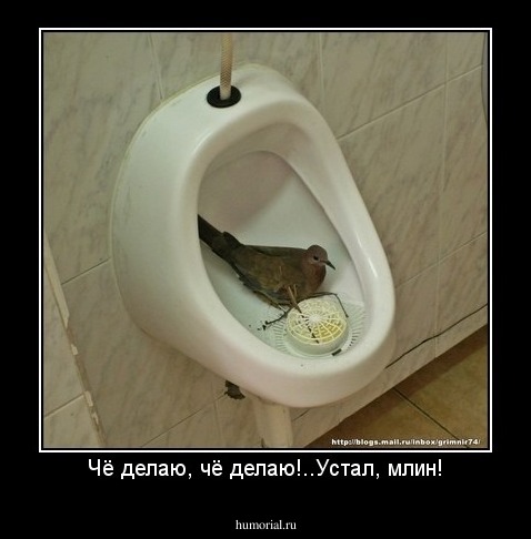 Чё делаю, чё делаю!..Устал, млин!