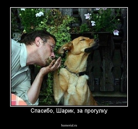 Спасибо, Шарик, за прогулку