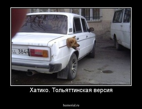 Хатико. Тольяттинская версия