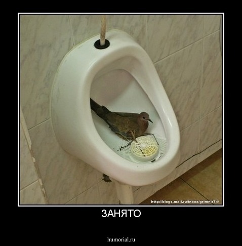 ЗАНЯТО