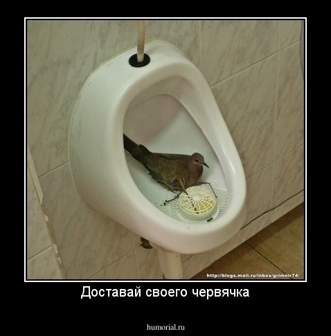Доставай своего червячка