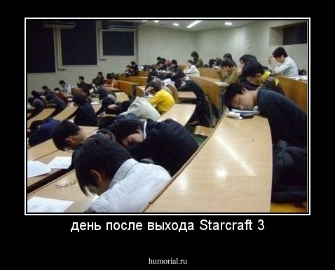 день после выхода Starcraft 3