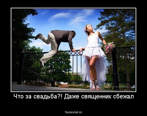 Что за свадьба?! Даже священник сбежал