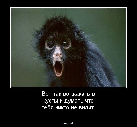 Вот так вот,какать в кусты и думать что тебя никто не видит