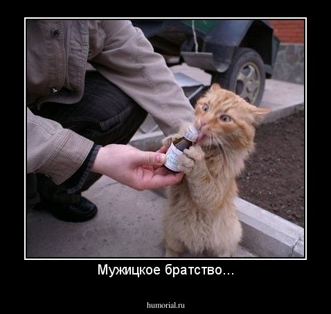 Мужицкое братство...