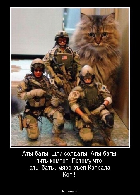 Аты-баты, шли солдаты!
Аты-баты, пить компот!
Потому что, аты-баты, мясо съел Капрала Кот!!