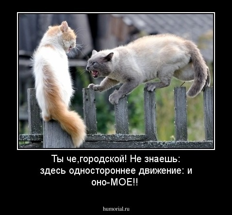 Ты че,городской! Не знаешь: здесь одностороннее движение: и оно-МОЕ!!