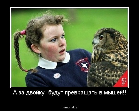 А за двойку- будут превращать в мышей!!
