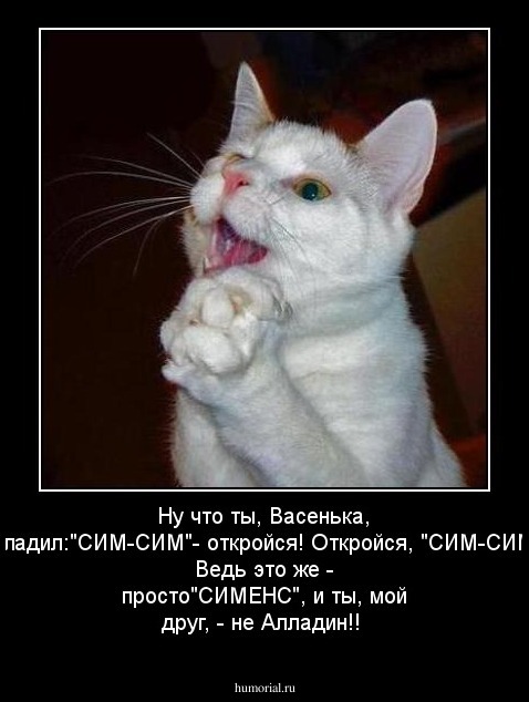 Ну что ты, Васенька, заладил:"СИМ-СИМ"- откройся! Откройся, "СИМ-СИМ"! Ведь это же - просто"СИМЕНС", и ты, мой друг, - не Алладин!!