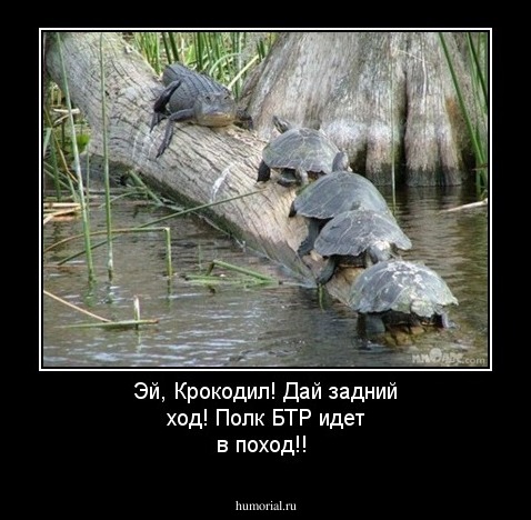 Эй, Крокодил! Дай задний ход! Полк БТР идет в поход!!
