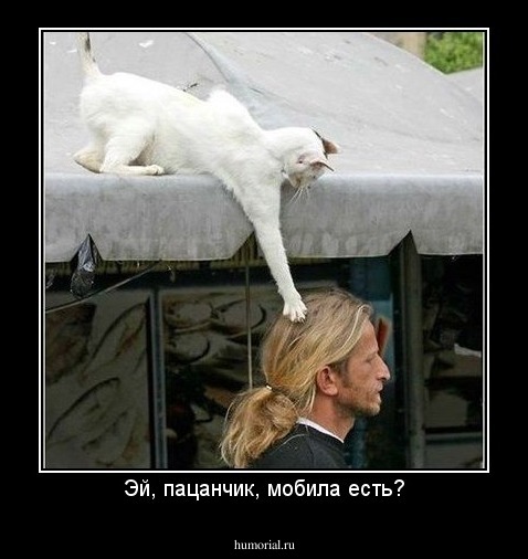 Эй, пацанчик, мобила есть?