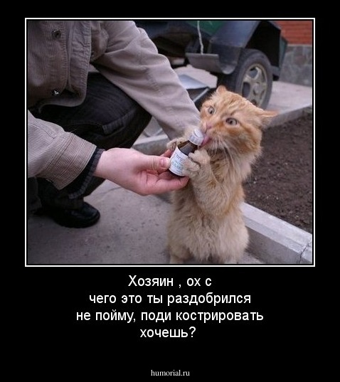 Хозяин , ох с чего это ты раздобрился не пойму, поди кострировать хочешь?