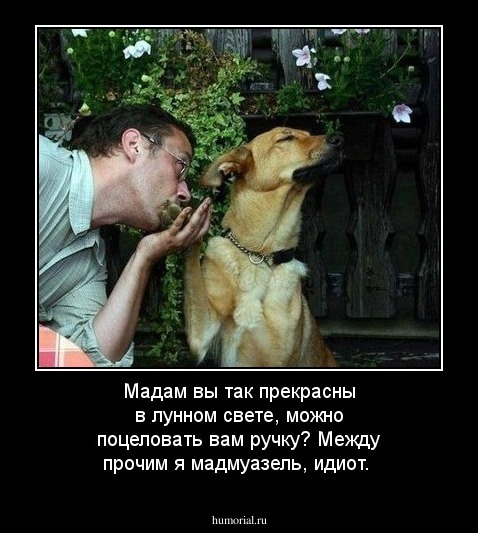Мадам вы так прекрасны в лунном свете, можно поцеловать вам ручку? Между прочим я мадмуазель, идиот.