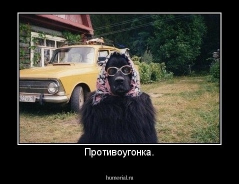 Противоугонка.