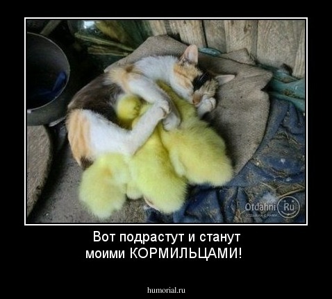 Вот подрастут и станут моими КОРМИЛЬЦАМИ!