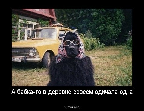 А бабка-то в деревне совсем одичала одна