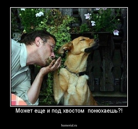 Может еще и под хвостом  понюхаешь?!