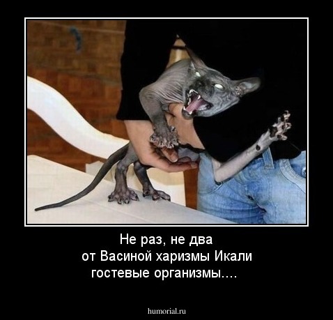 Не раз, не два от Васиной харизмы 
Икали гостевые организмы....