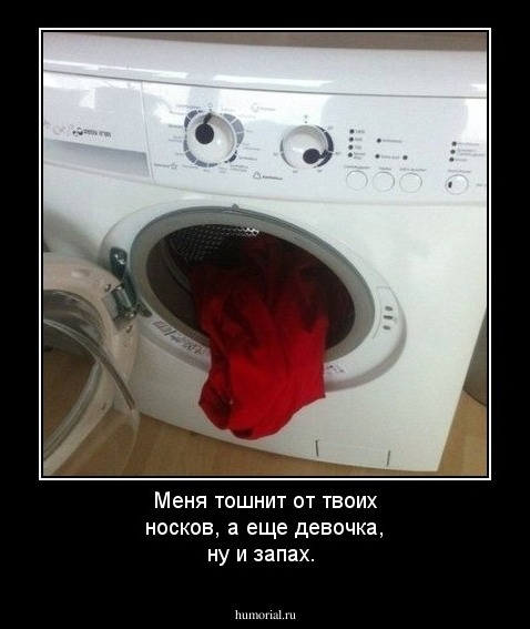 Меня тошнит от твоих носков, а еще девочка, ну и запах.
