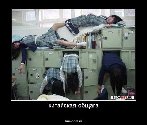 китайская общага