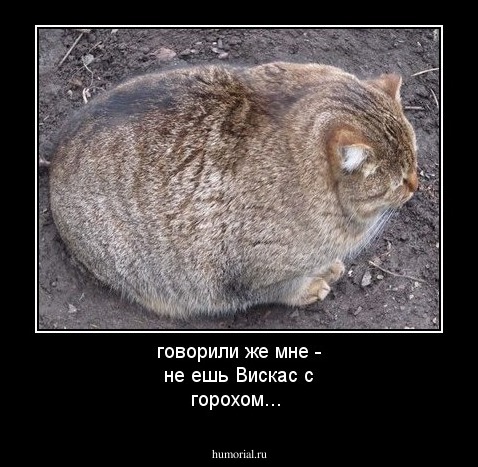 говорили же мне - не ешь Вискас с горохом...