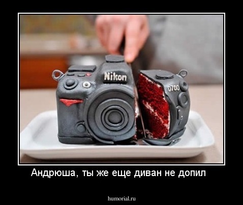 Андрюша, ты же еще диван не допил  