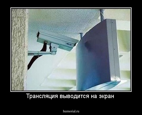 Трансляция выводится на экран 